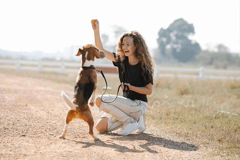 3 Enrichment Games to Play with Your Dog