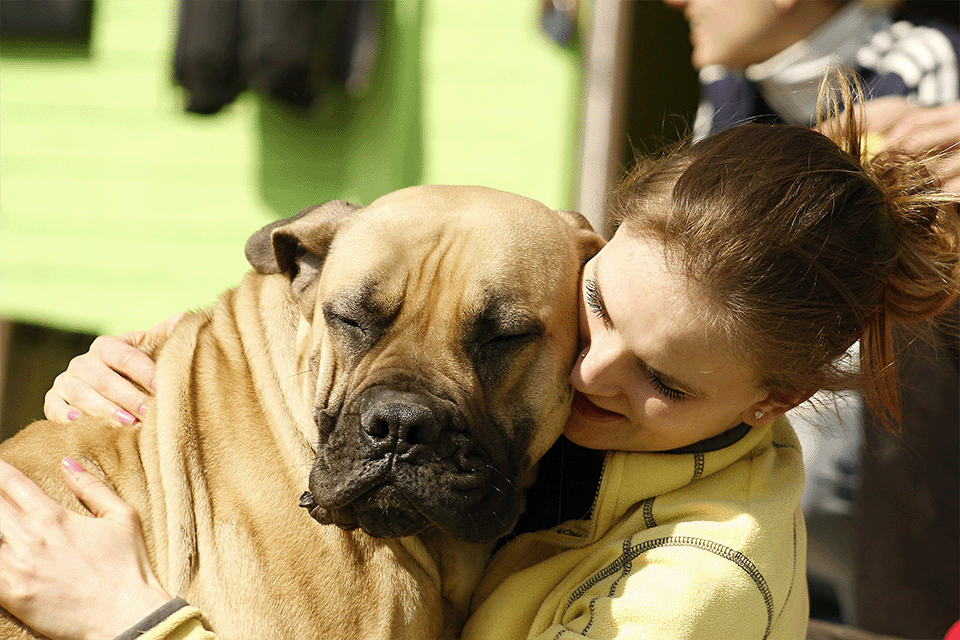 Practice Good Safety Habits When You Adopt a Big Dog