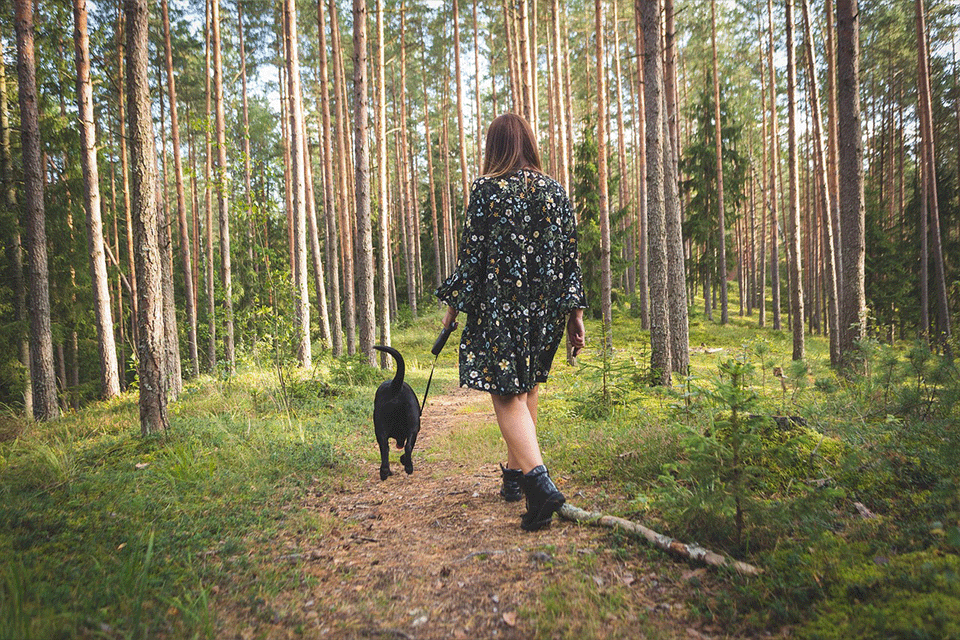 5 Health Benefits of Walking Your Dog