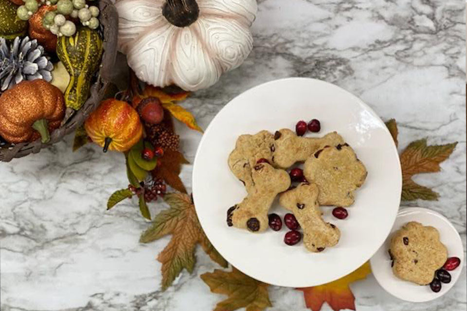 Dogsgiving Turkey Treats