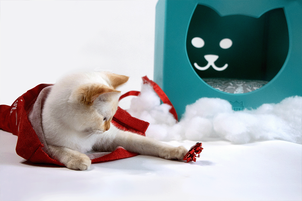 Holiday Gift Guide for Cat Lovers