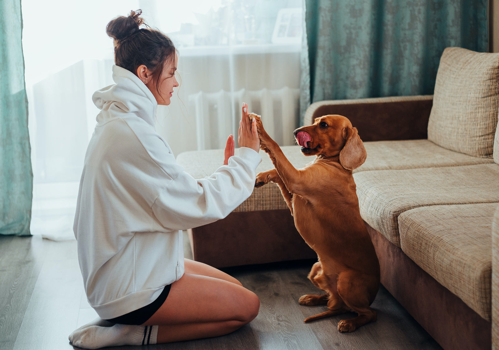 Pet Safe Spring Cleaning Tips