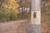 10 Pet Loss Prevention Tips