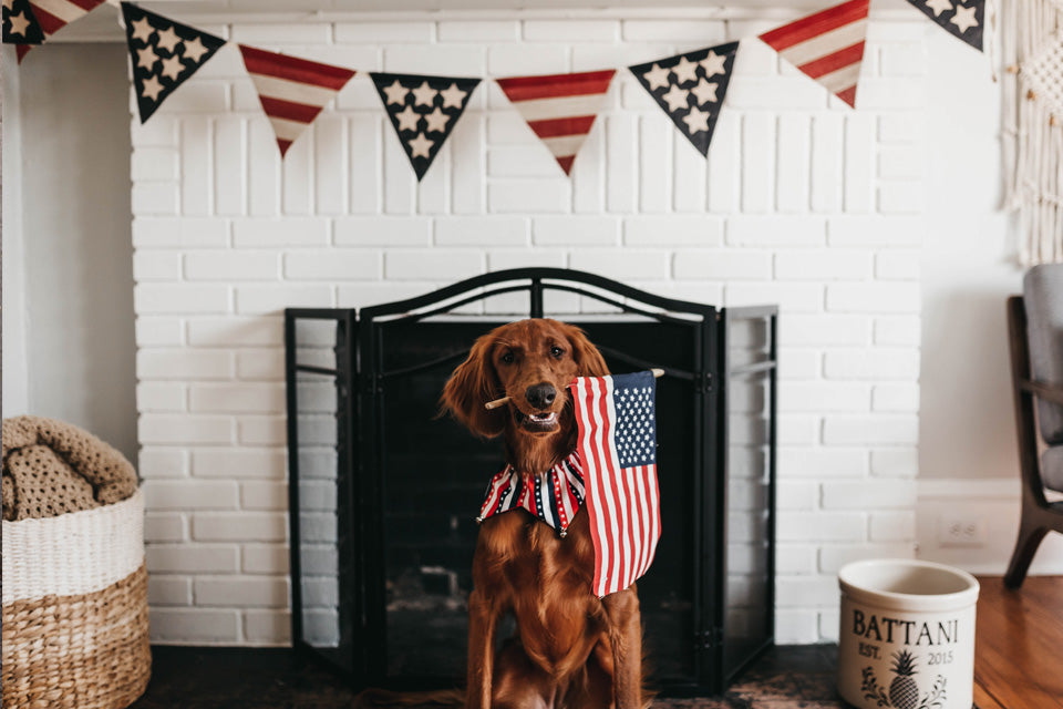 11 Tips to Keep Your Dog Safe on the Fourth of July