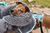 Dog being cleaned