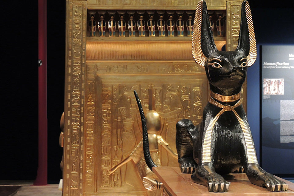 Ancient Egypt's Cat Obsession