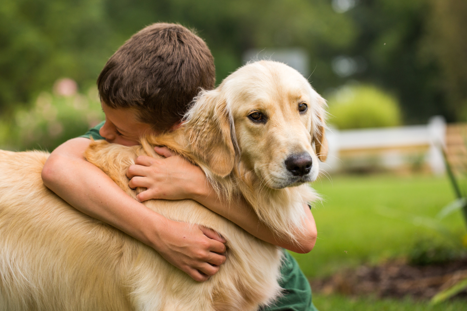 a boy hugging a dog