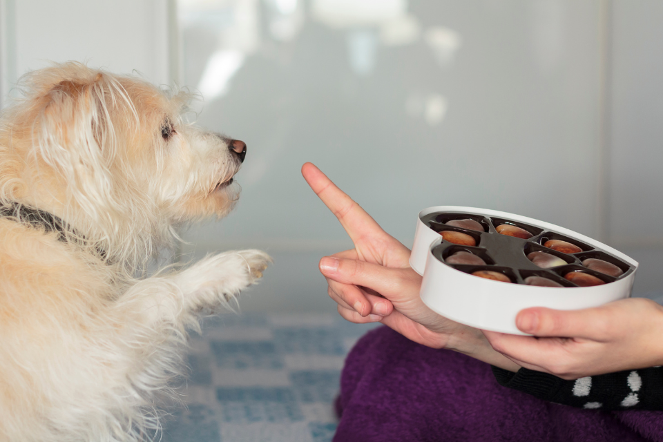 March is Poison Prevention Awareness Month