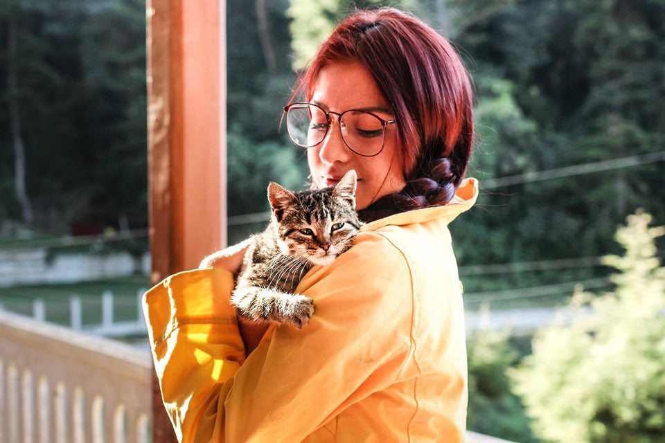 Cancer in Cats: How to Stay Aware