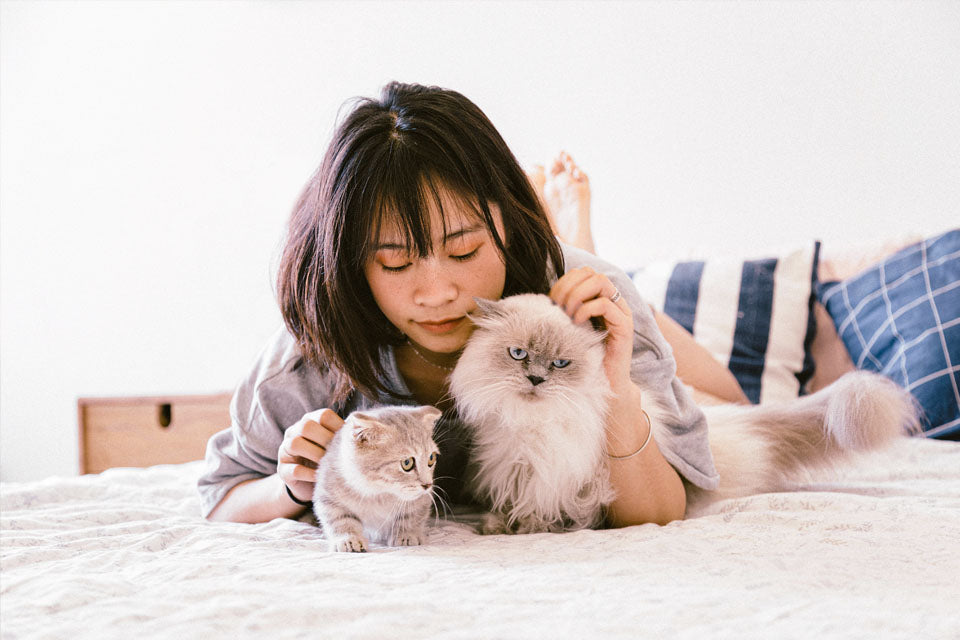 How Your Cat is Keeping You Happier & Healthier