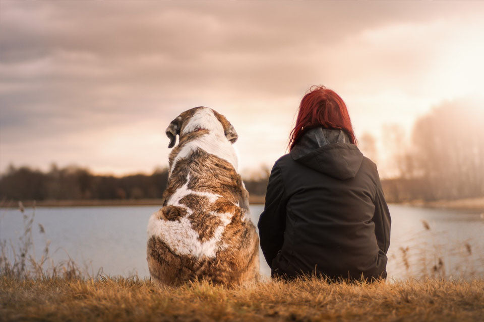 How Your Dog is Keeping You Happier & Healthier