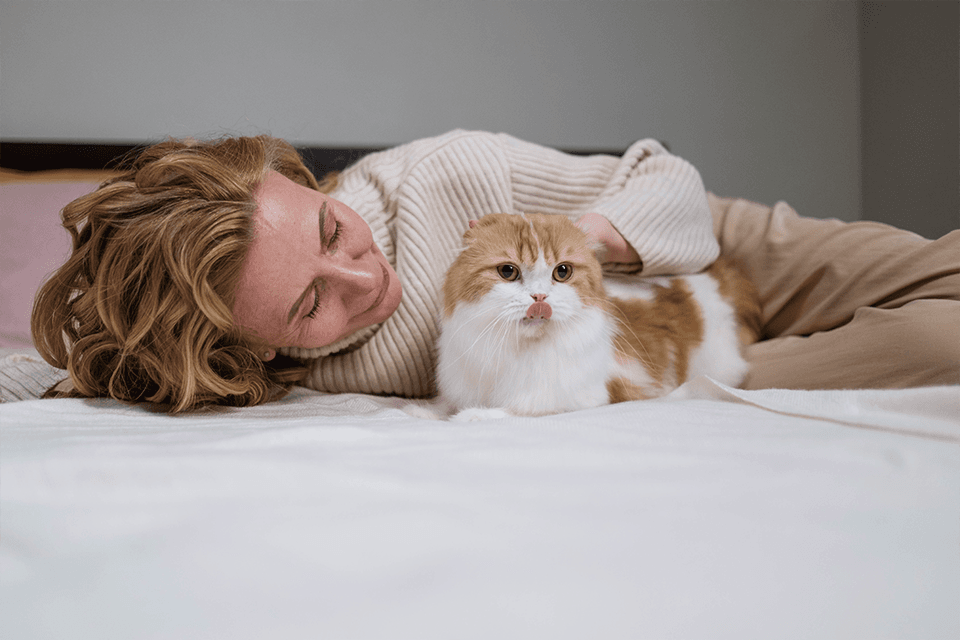 How Cats Can Be Emotional Support Animals