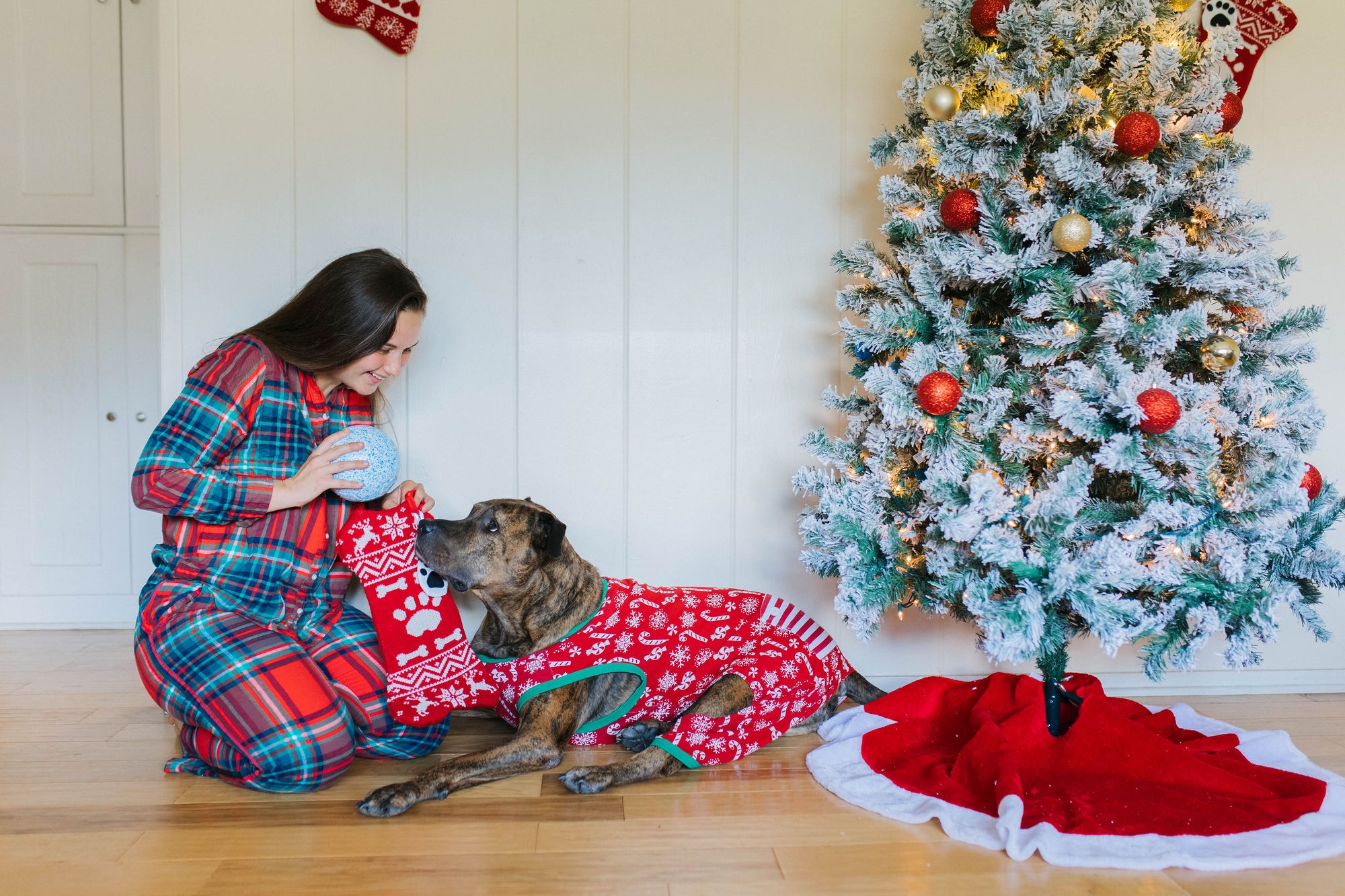 Holiday Gift Guide for Pet Parents 2023