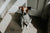 National Train Your Dog Month - Teach Your Dog To Sit
