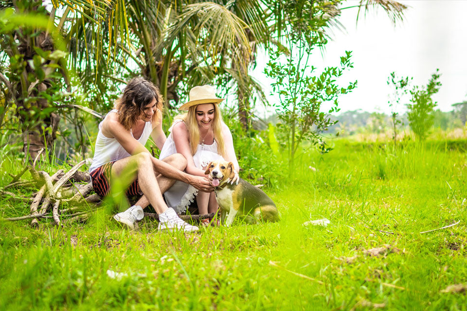 Outdoor Activities to Keep You & Your Dog from Going Stir Crazy