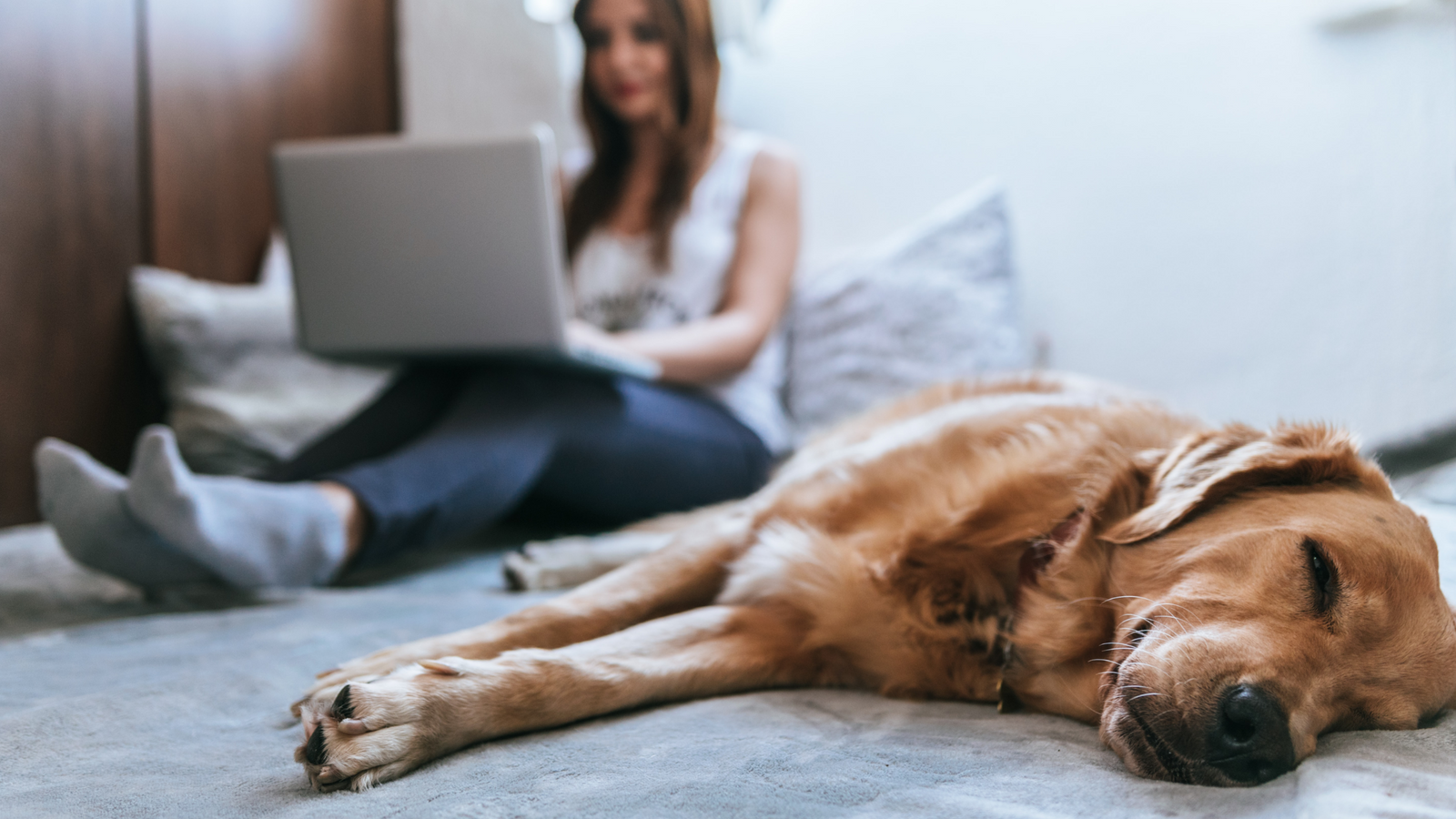 Is Pet Insurance Right for You and Your Pet?