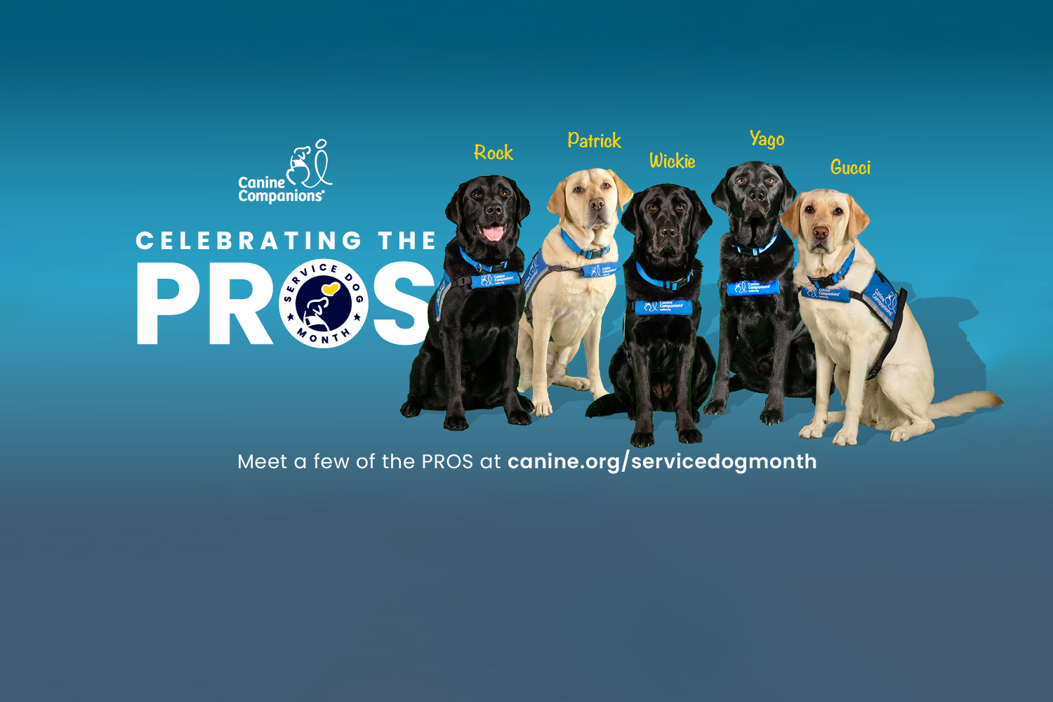 September is National Service Dog Month - Learn the Facts Now!