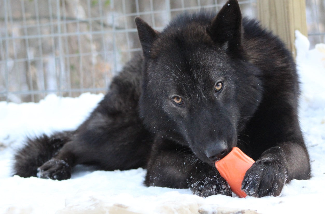 Creating a Winter Play Schedule That Actually Works