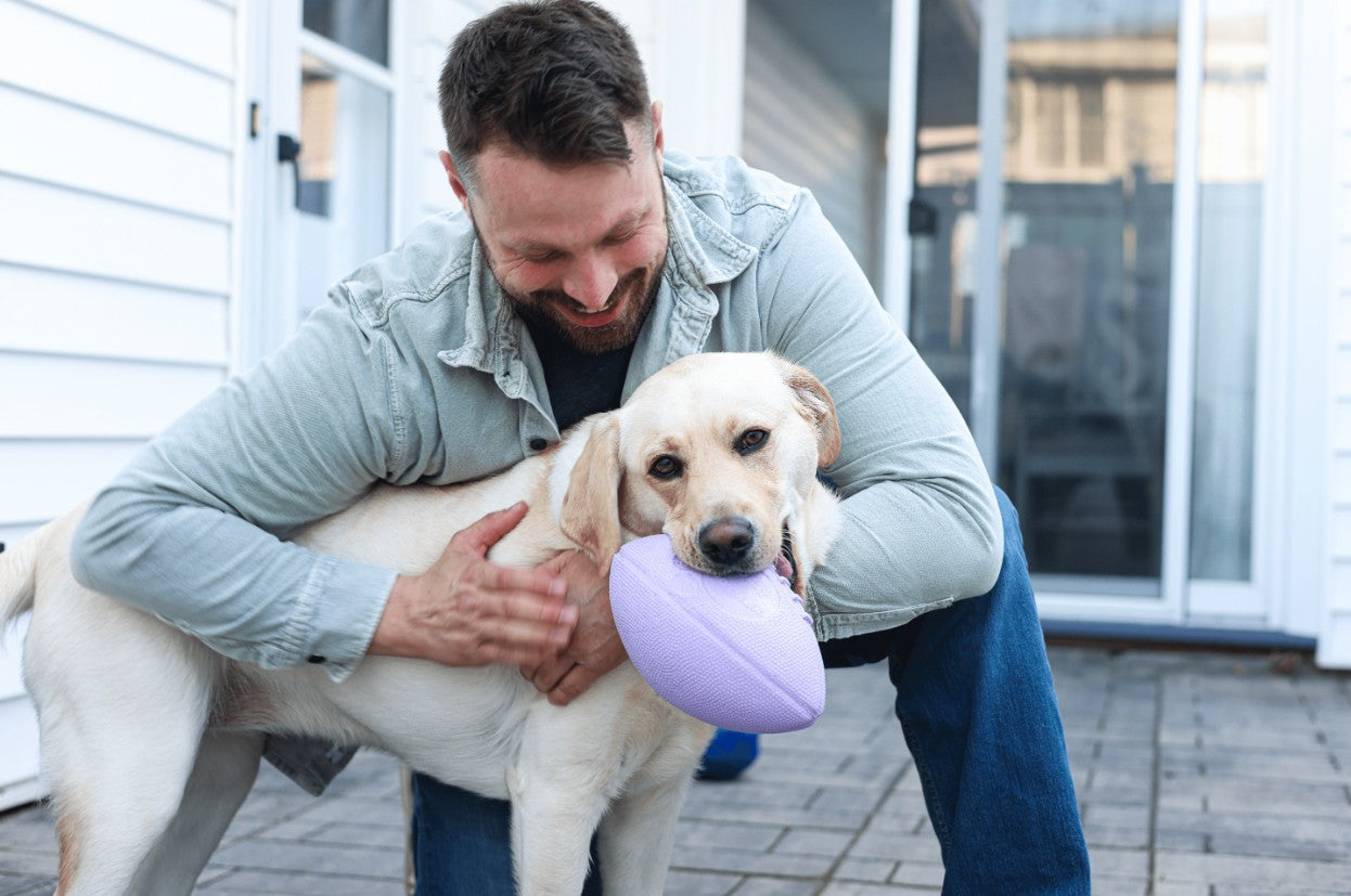 Why Dogs Crave Problem Solving Activities