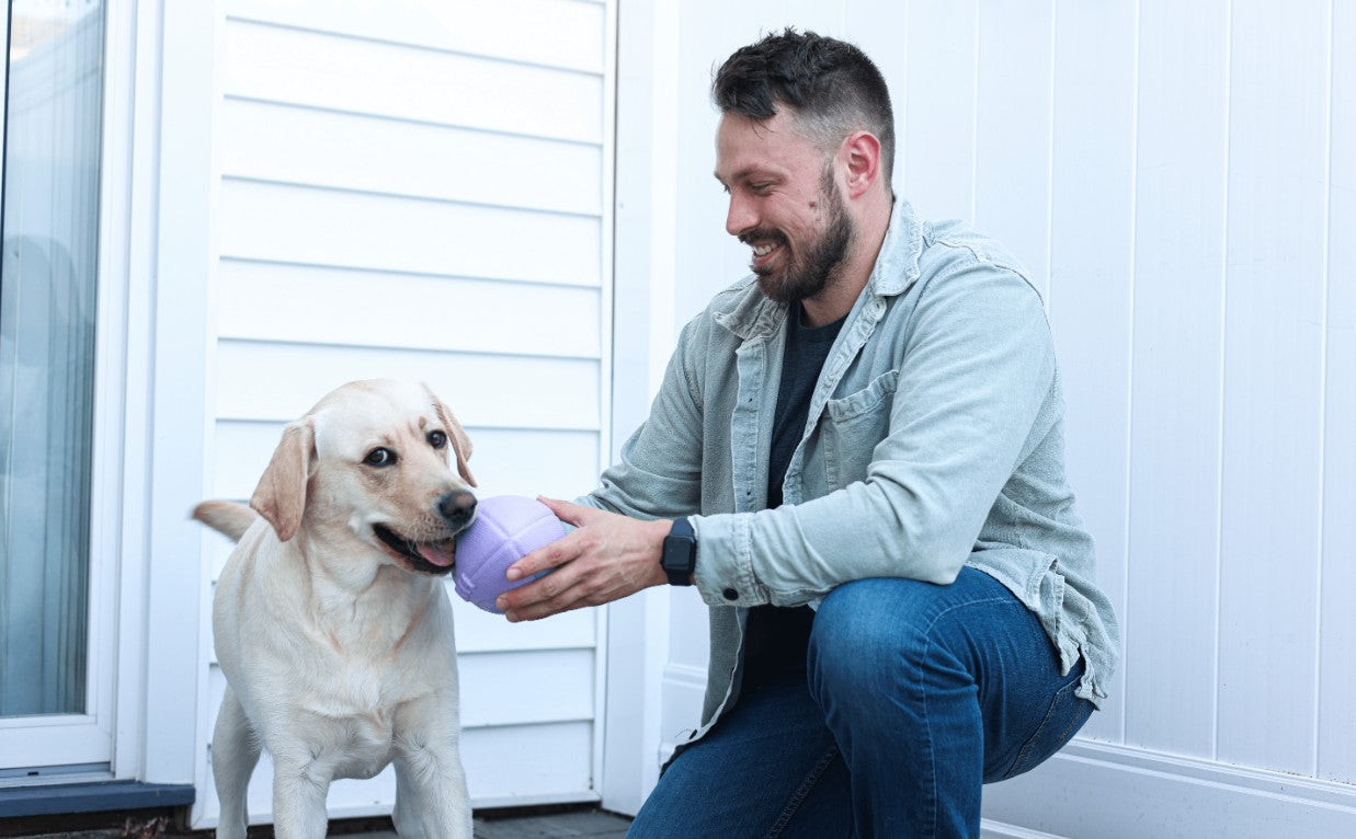Playtime Traditions Every Dog Will Love