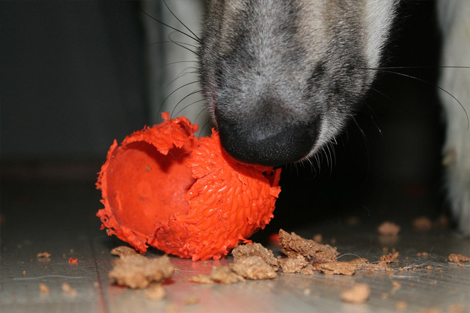 There Goes Another Toy...