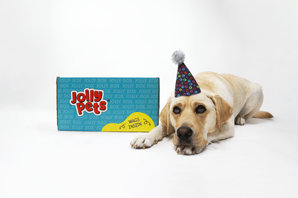 Jolly Pets Launches New Bash Box: The Ultimate Celebration for Your Pup!