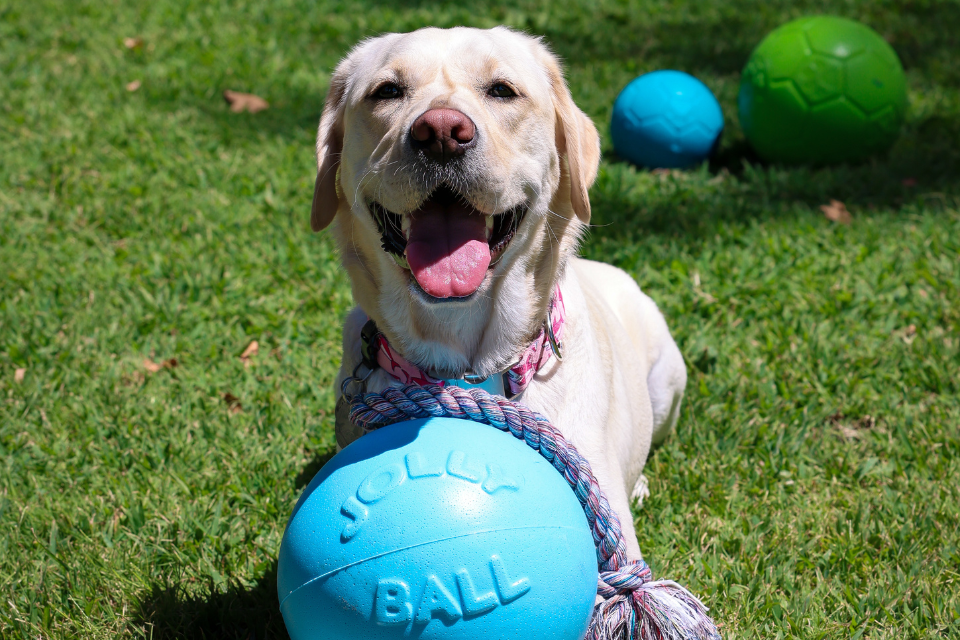 Meet the Winners of The First Annual Jollies!