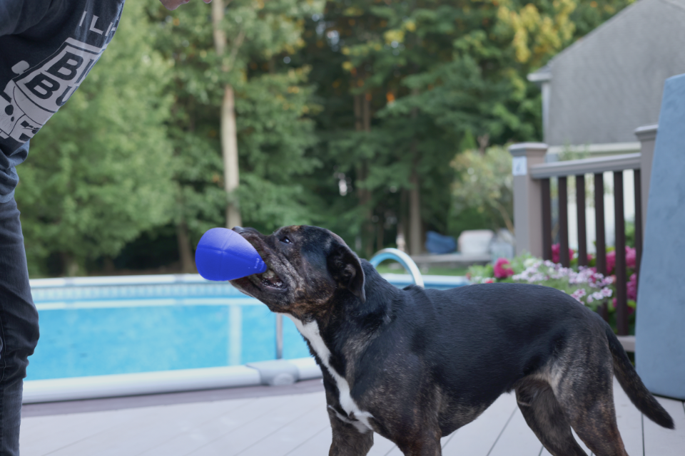 The Ultimate Outdoor Toy Guide for Summer Fun