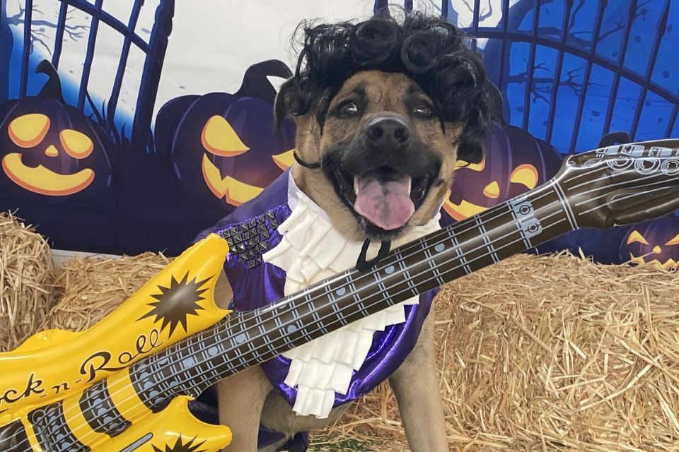 Meet Our 2025 Howl-o-Ween Costume Contest Winners!