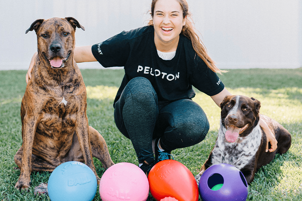 Bobble ball online for dogs