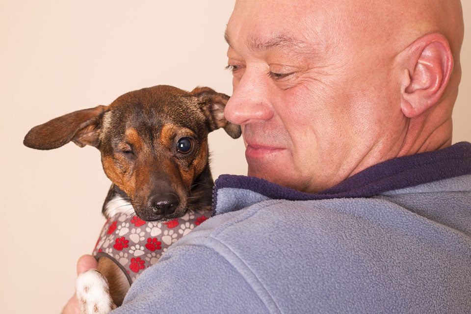 Less Adoptable Dogs Need Homes Too!