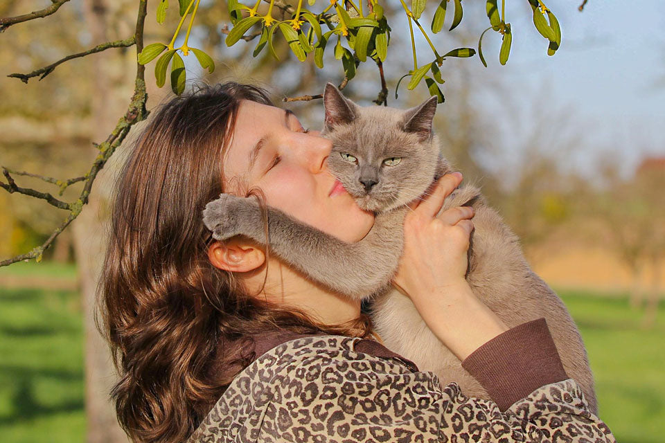 5 Hilarious Ways Cats Show That They Love Us