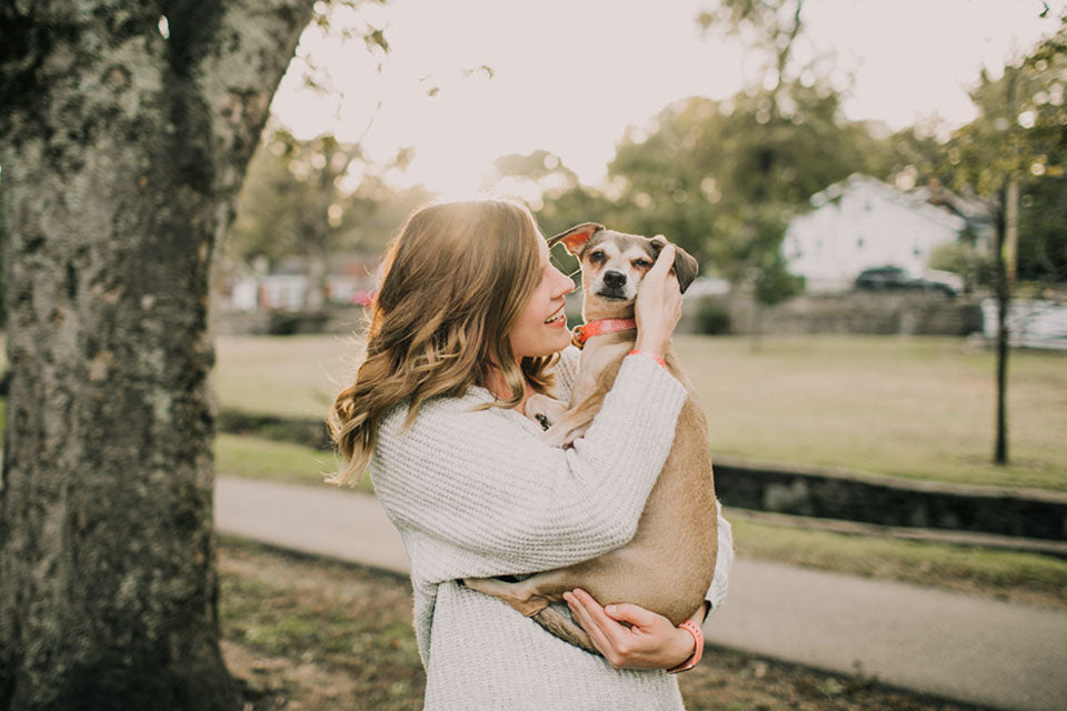 How National Dog Day Aims to Solve the Puppy Mill Problem