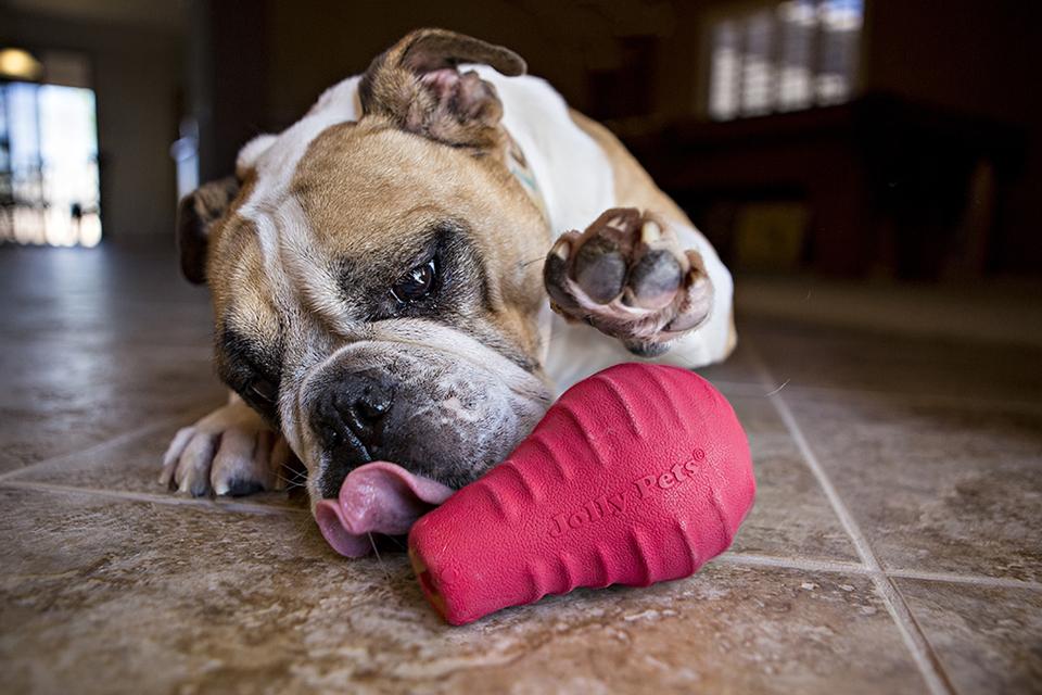 Chew On This - Costco Connection