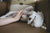 5 Ways Dogs Show Us They Love Us