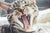 What's in a Meow? Or Kitty Code 101: The Meaning of Meow