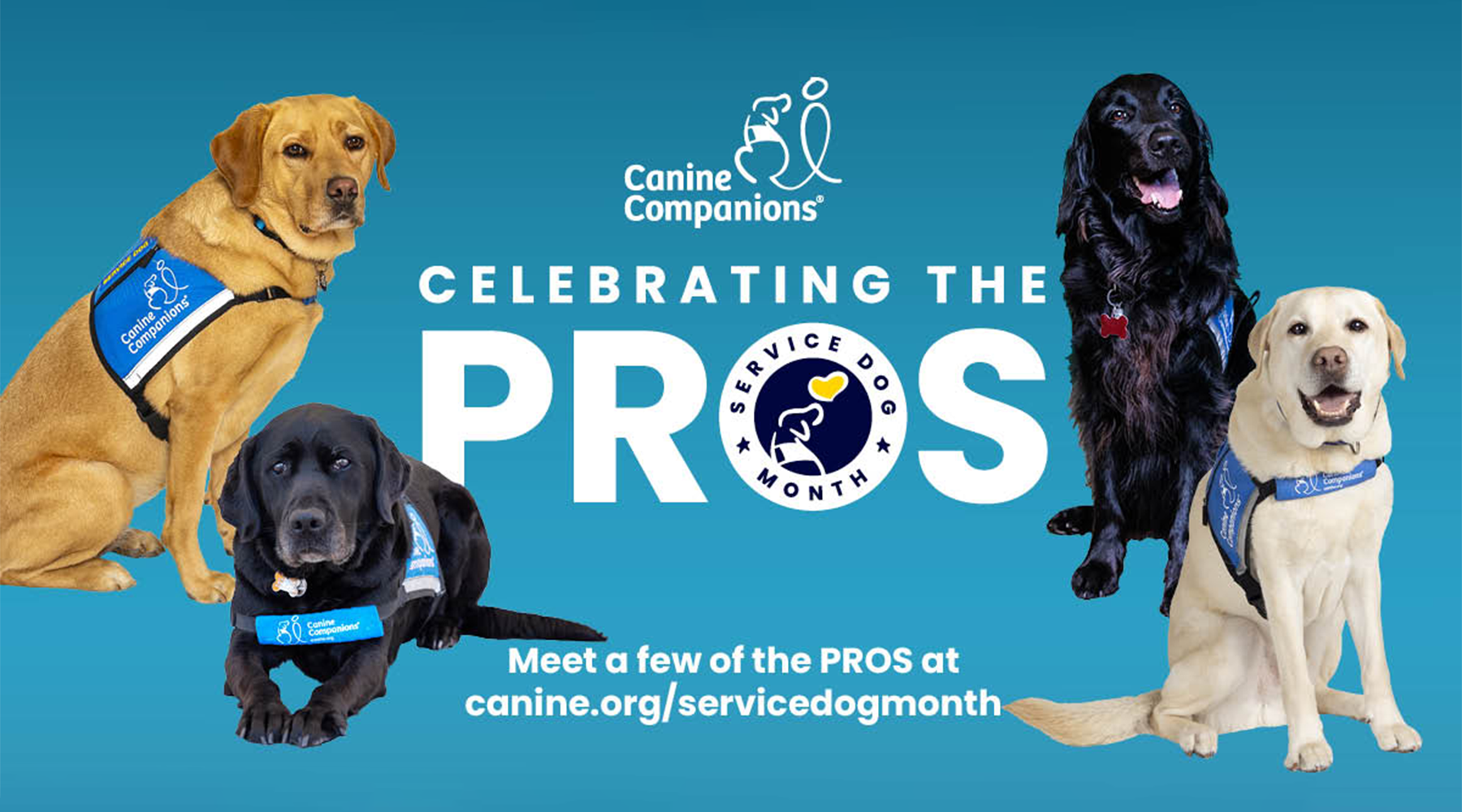 Celebrate National Service Dog Month!