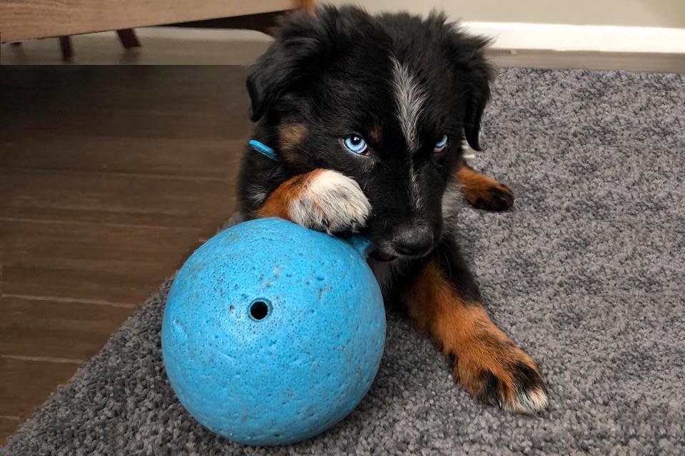 Teething Tips that Will Save Your Stuff