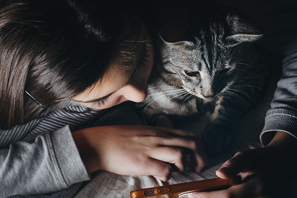 The Best Cat Accounts on Social Media