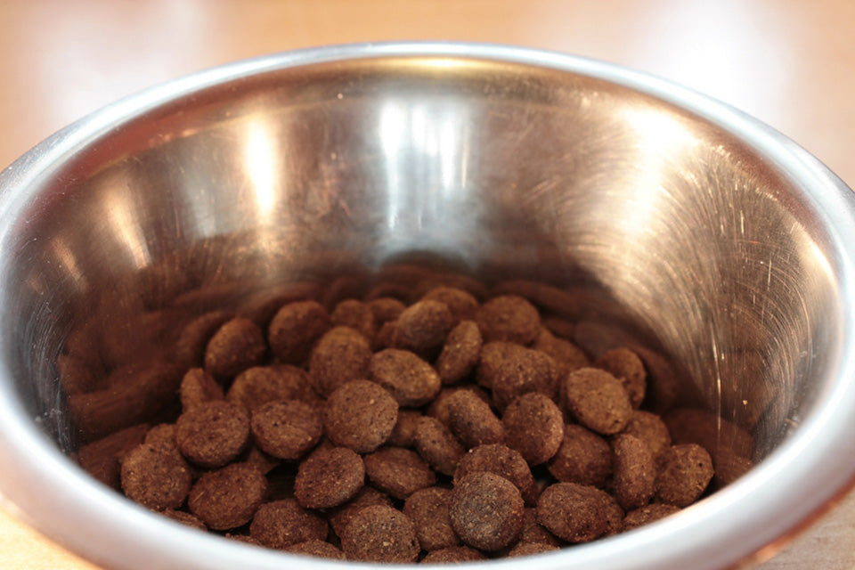 What's Really in Your Dog's Food?