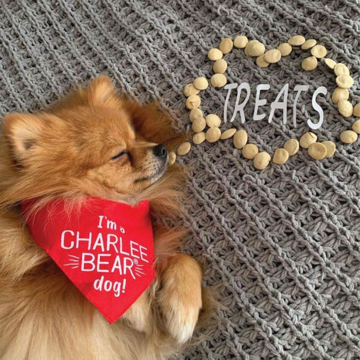 Dog Treats