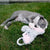 Gentle With Toys