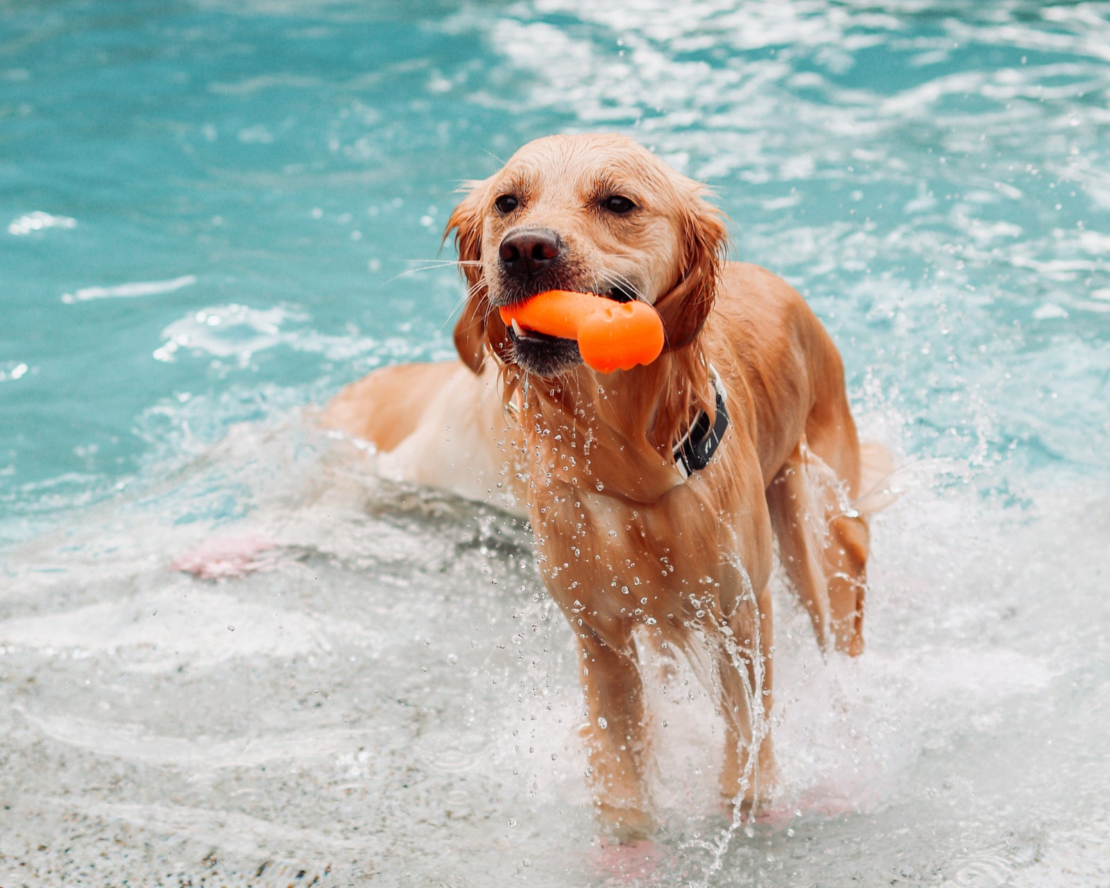 Floating Toys