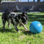 Jolly Soccer Balls