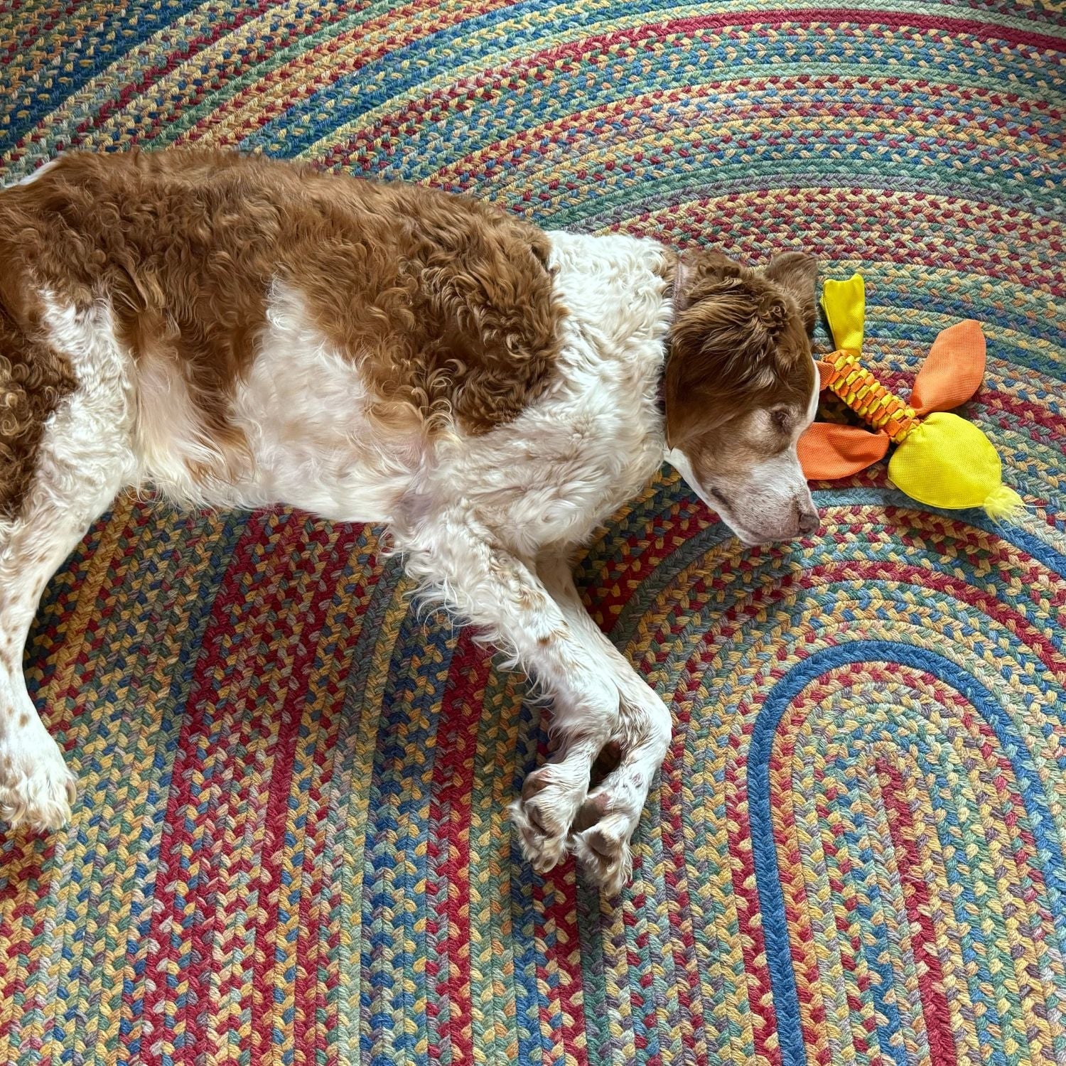 Less Active With Toys