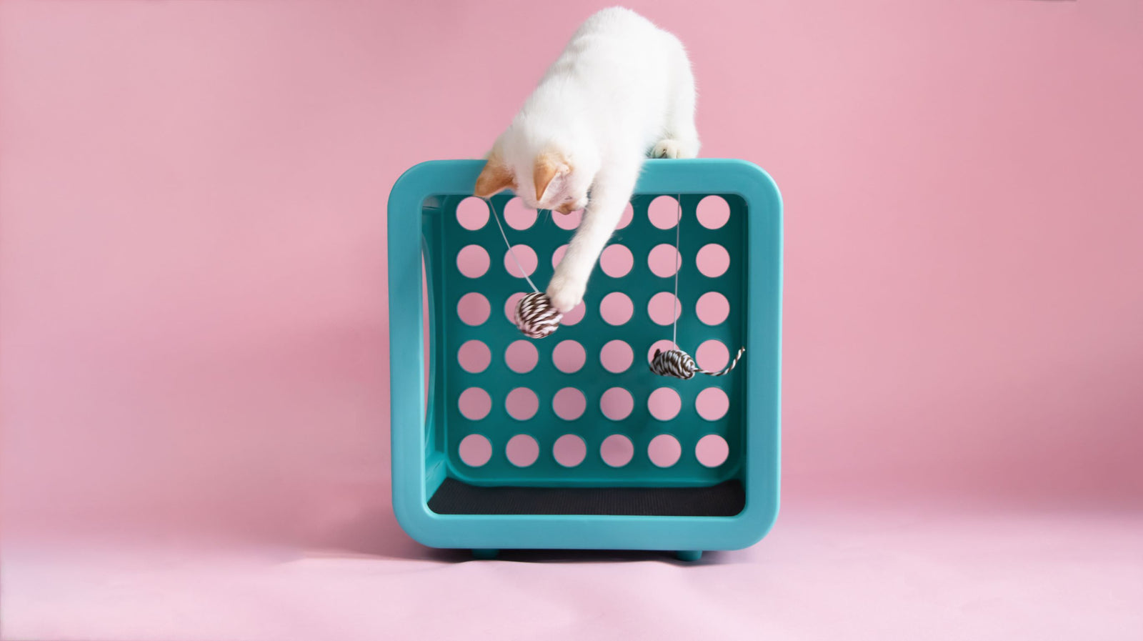 Kitty Kasa Recreations