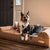 Pet Beds