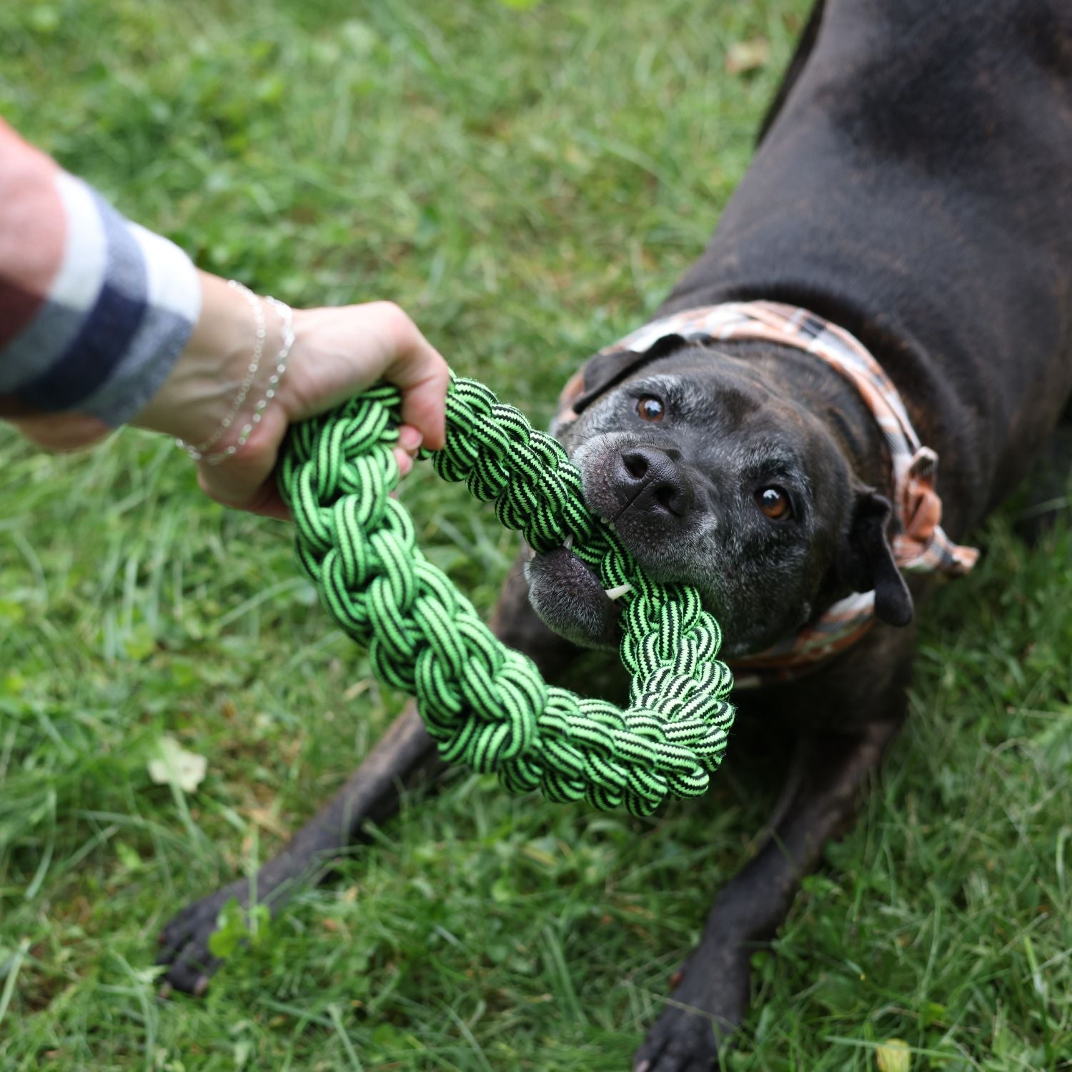 Tug Toys
