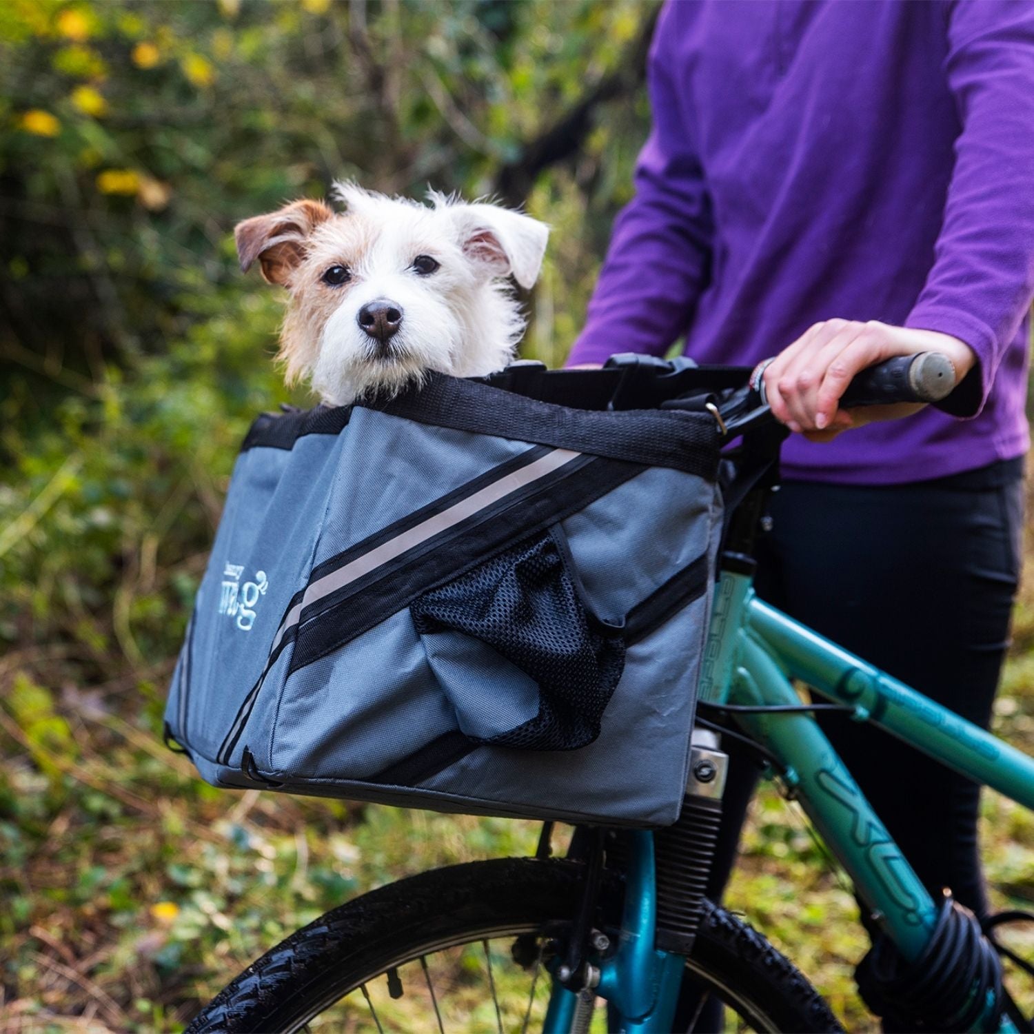 Jolly Travel & Accessories