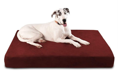 7" Orthopedic Dog Bed